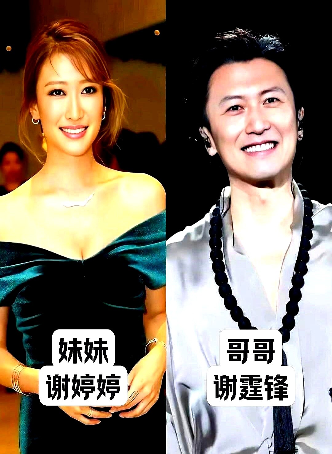 谢霆锋能硬扛无死角镜头，他亲妹妹谢婷婷却顶着高颧骨走欧美风。

李幼斌眉头一皱就是硬汉。

他亲姐李野萍，满脸都是市井婆婆的精明。再看贾玲，梨涡笑眼全国都熟，亲姐贾丹跟她眉毛鼻子简直是一个模子倒出来的。另外像欧阳娜娜、李冰冰，也都有亲姐妹，长相差异也是各不相同。

同样是一个爹妈生的，这家族基因的分