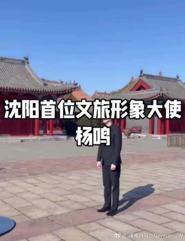 杨鸣为沈阳文旅录推广视频 ​