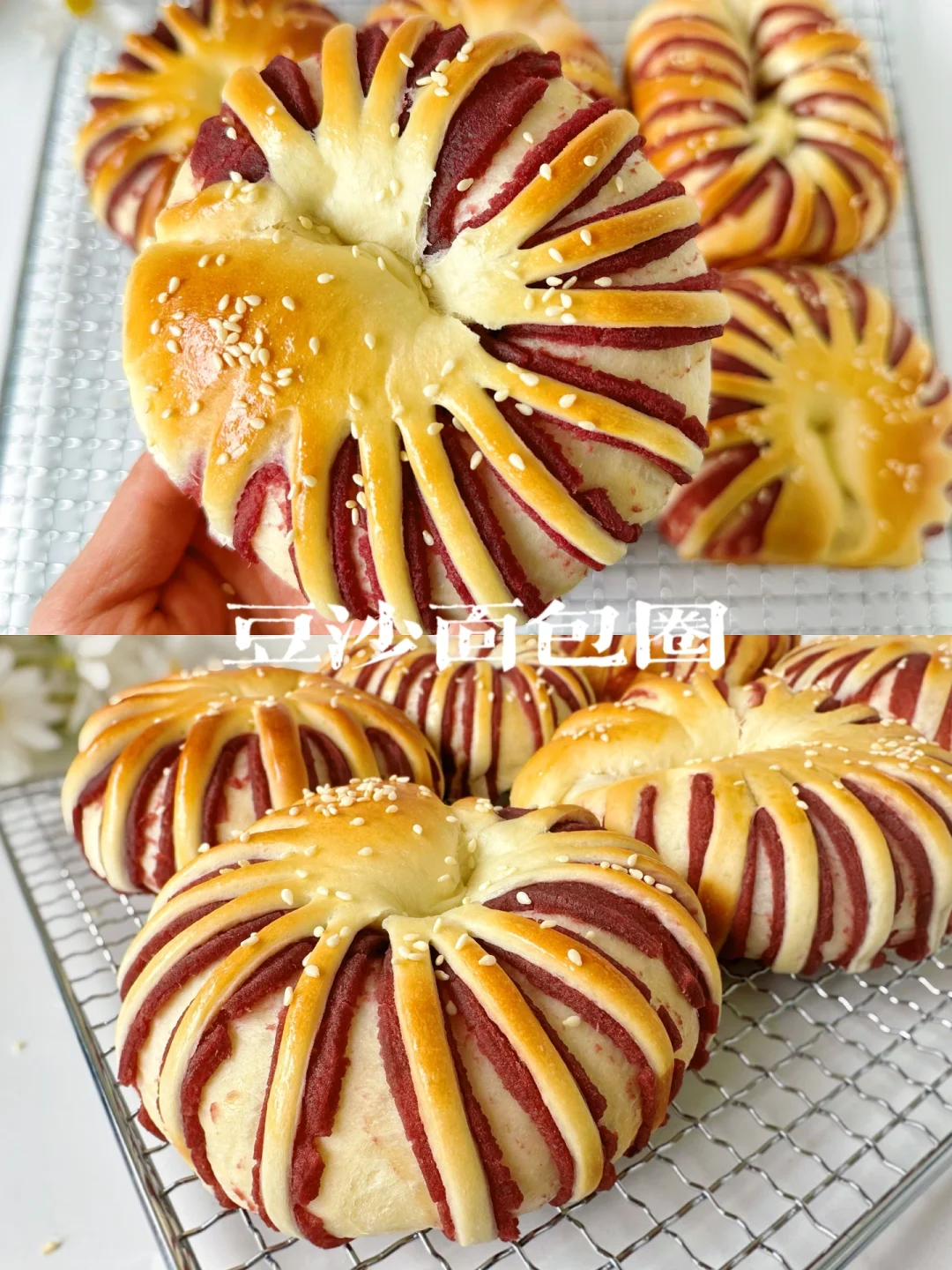 好吃不腻的豆沙面包圈！回忆儿时的味道！