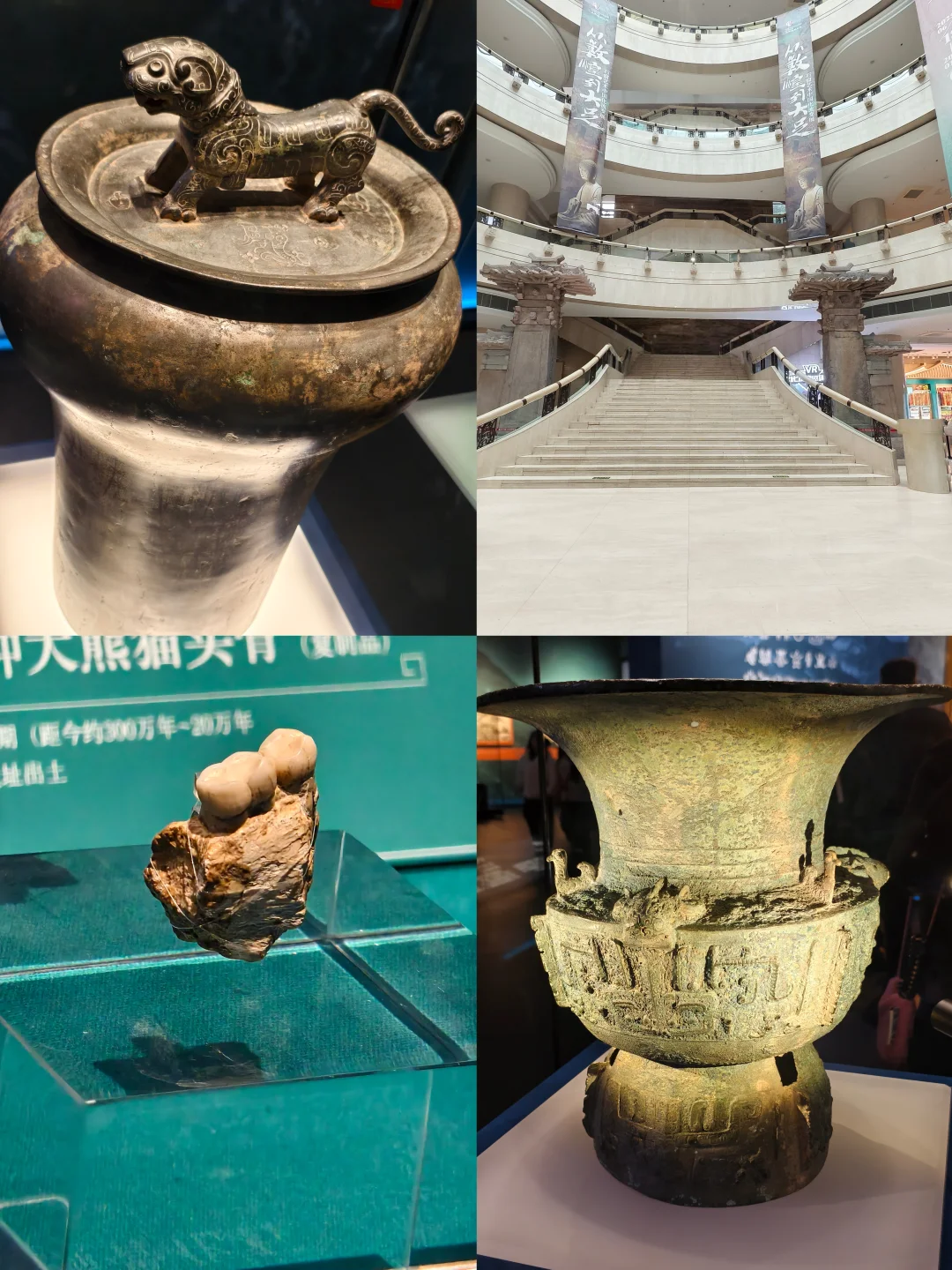 重庆三峡博物馆⁉️1小时怎么玩