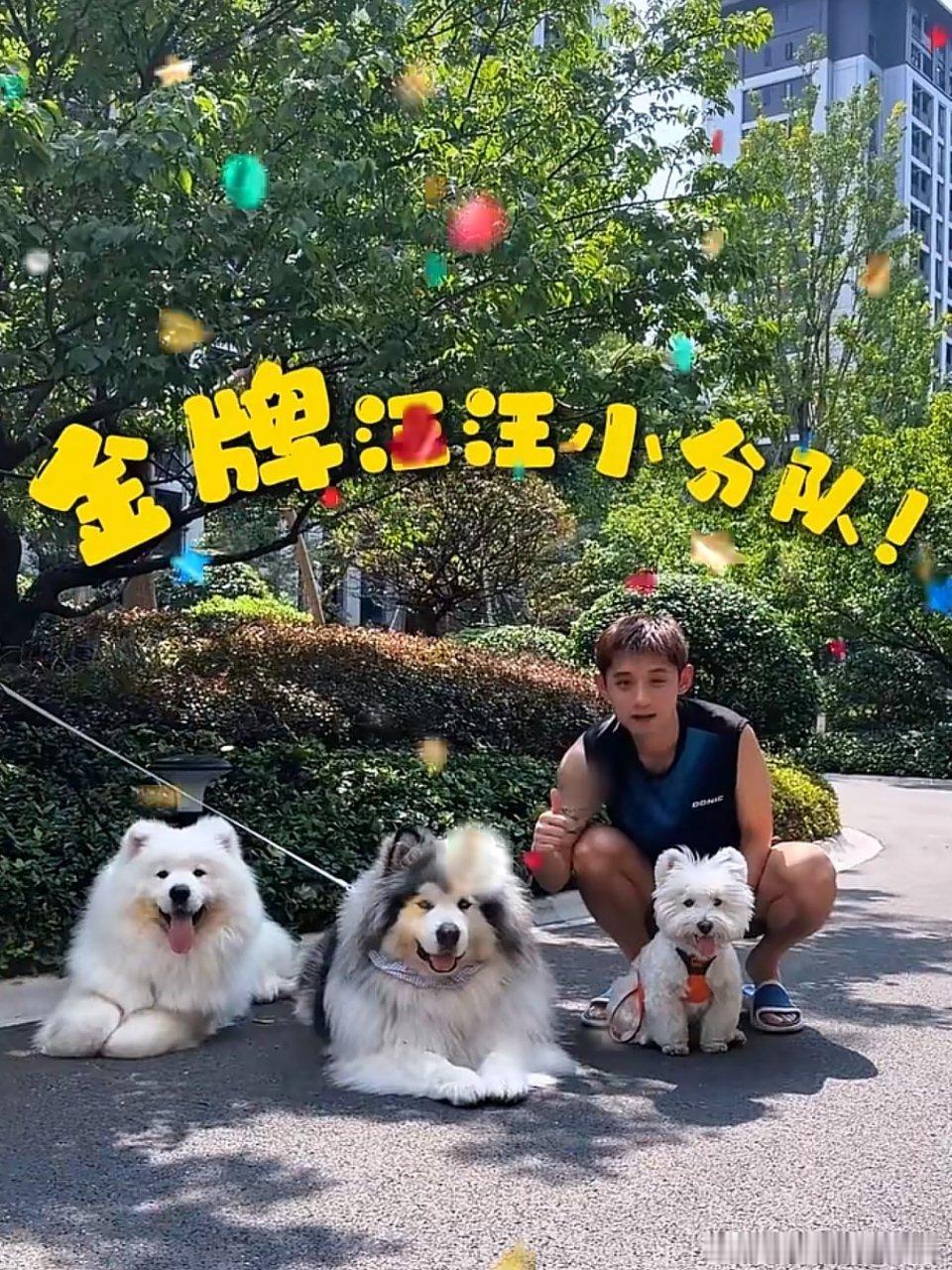 #张继科[超话]# 张即可今天正式和汪汪们组成小分队了 我早说他是小狗变的！ ​