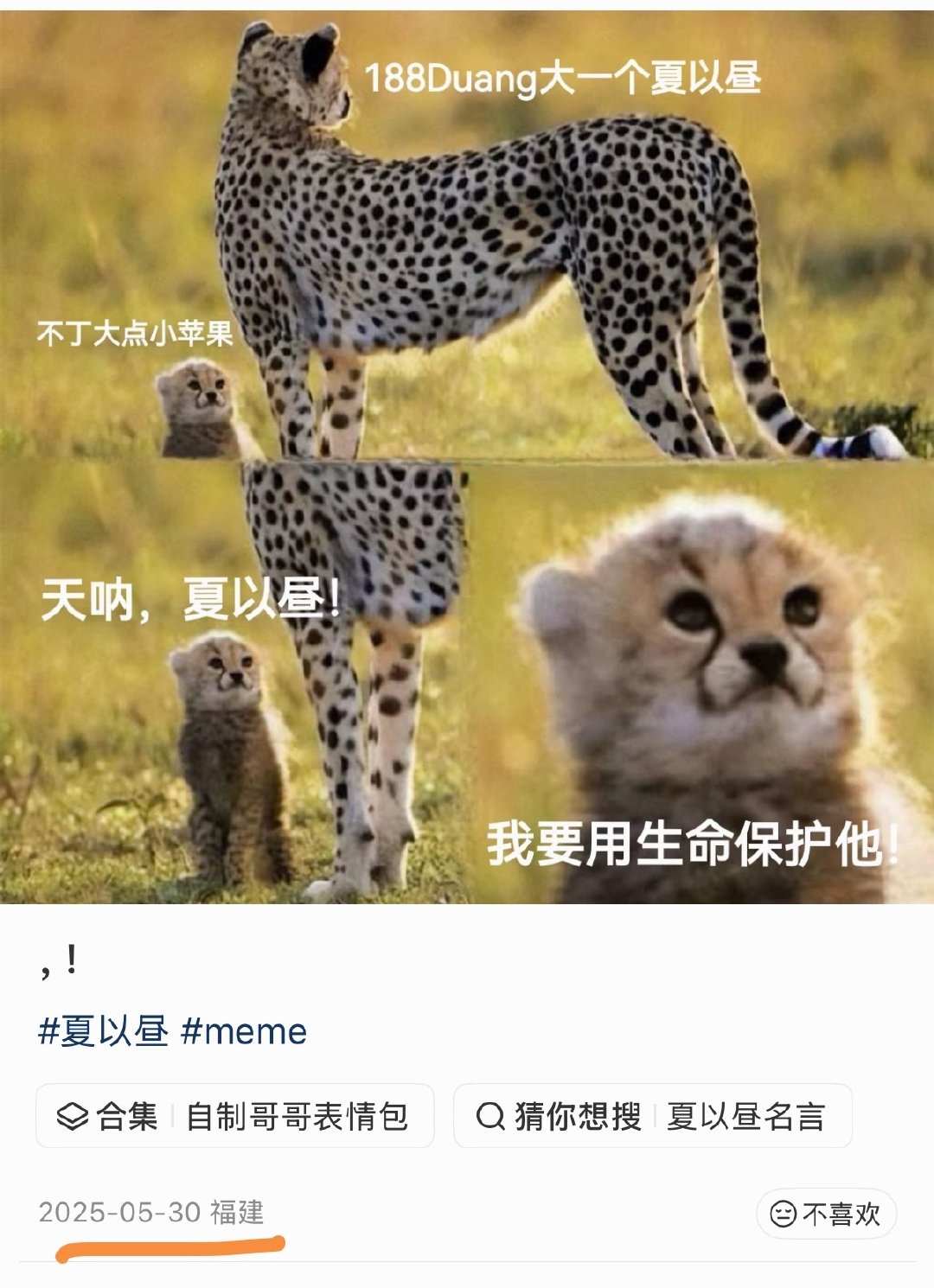 牛婶子🎲小苹果表情包的时候有没有想过，你们说过自己是海豹🦭[疑问]海豹婶子别忘了你的海豹先生！ ​