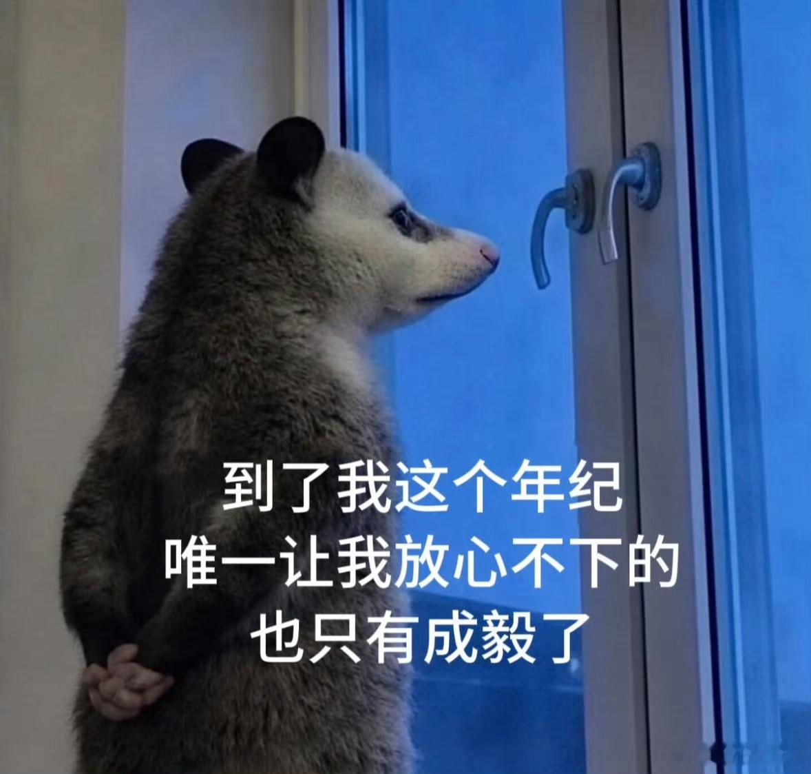 小e（成毅）你今天在干嘛呢？吃早饭了吗？好想好想你[爱慕]