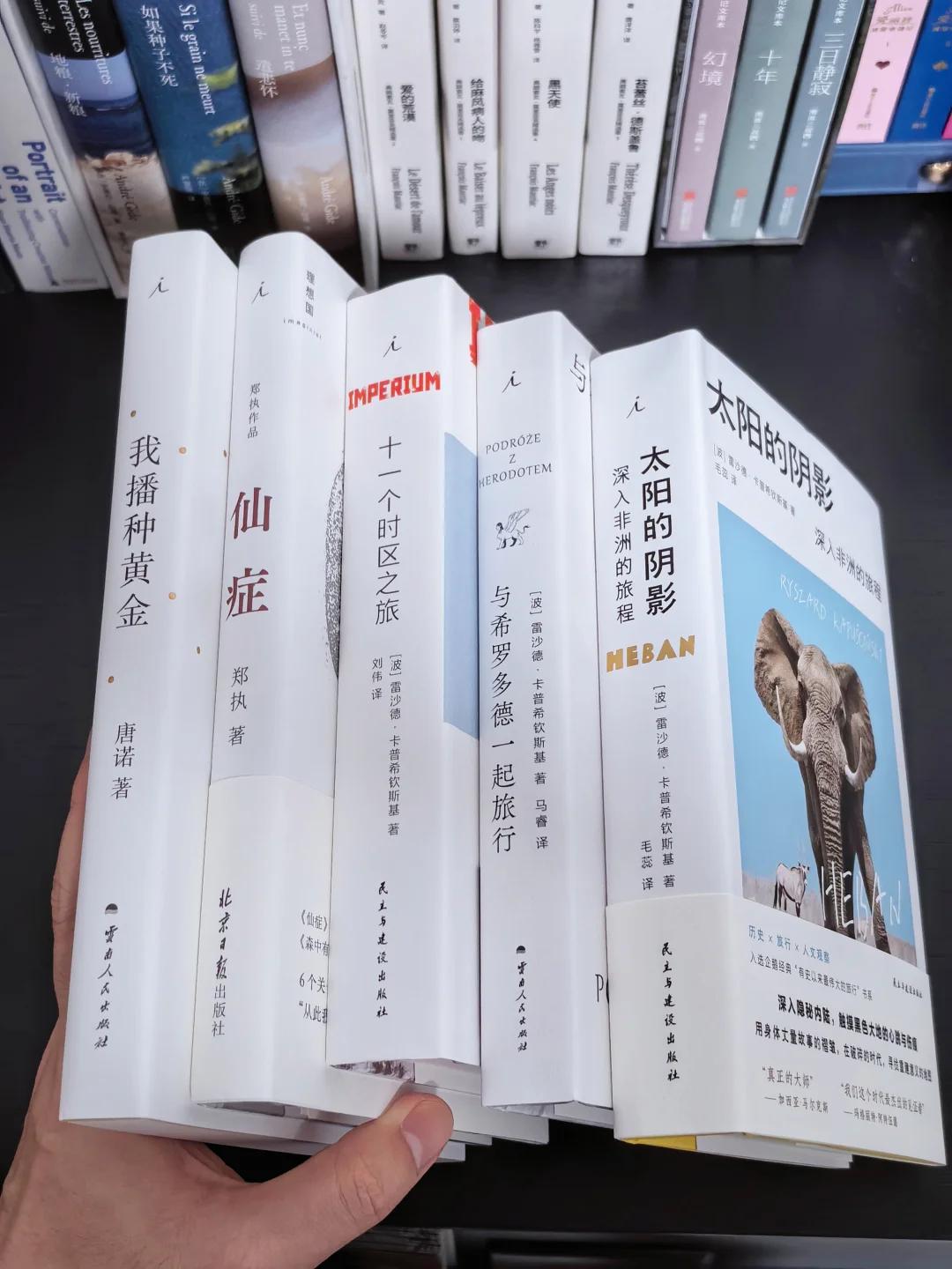 分享10月超爱的书单！每一本都超绝！！