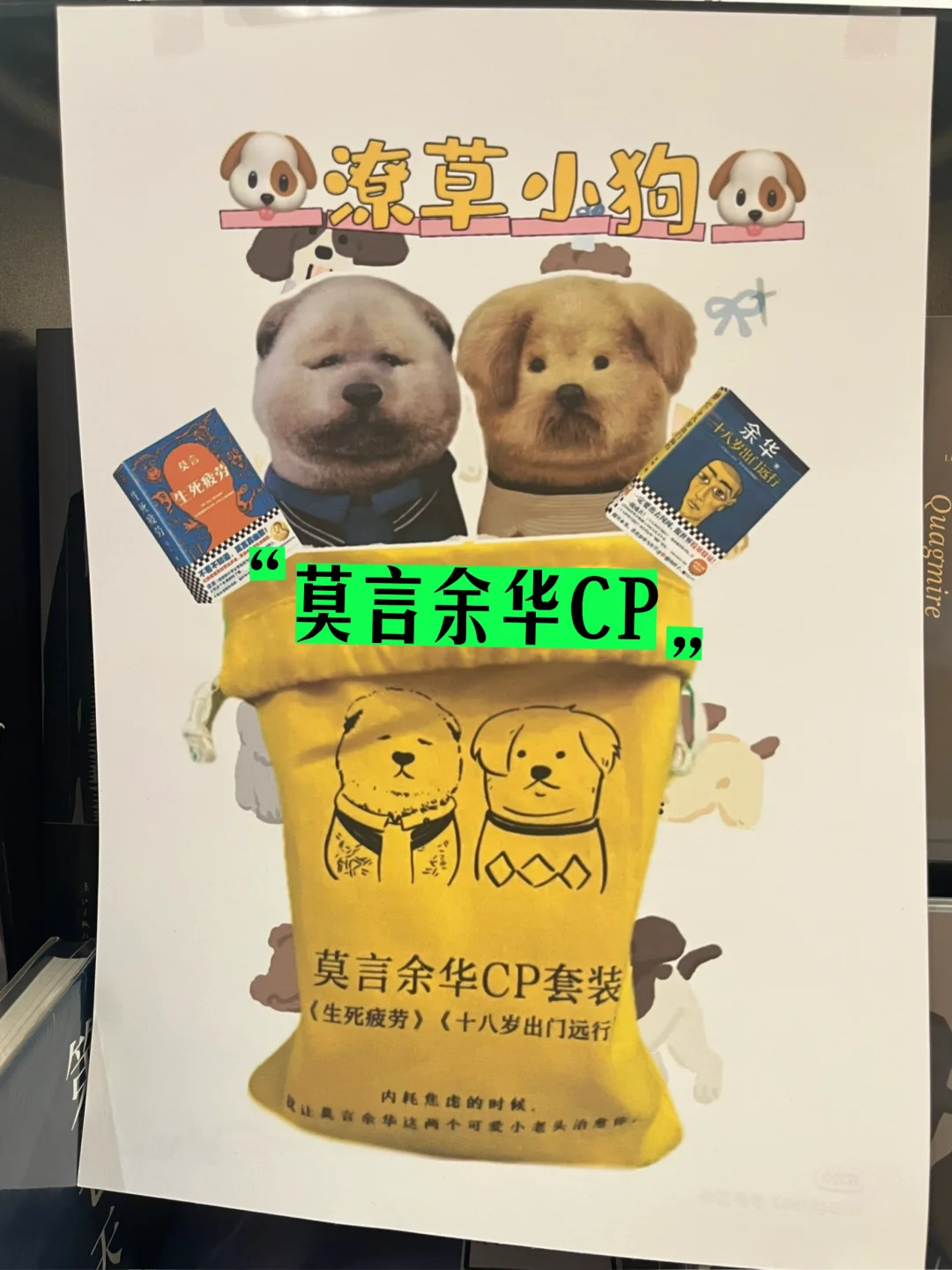 哈哈哈～毫无违和感🤣