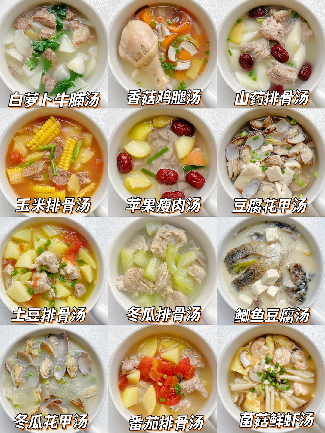 营养又好喝的炖汤不重样 | 安排起来吧