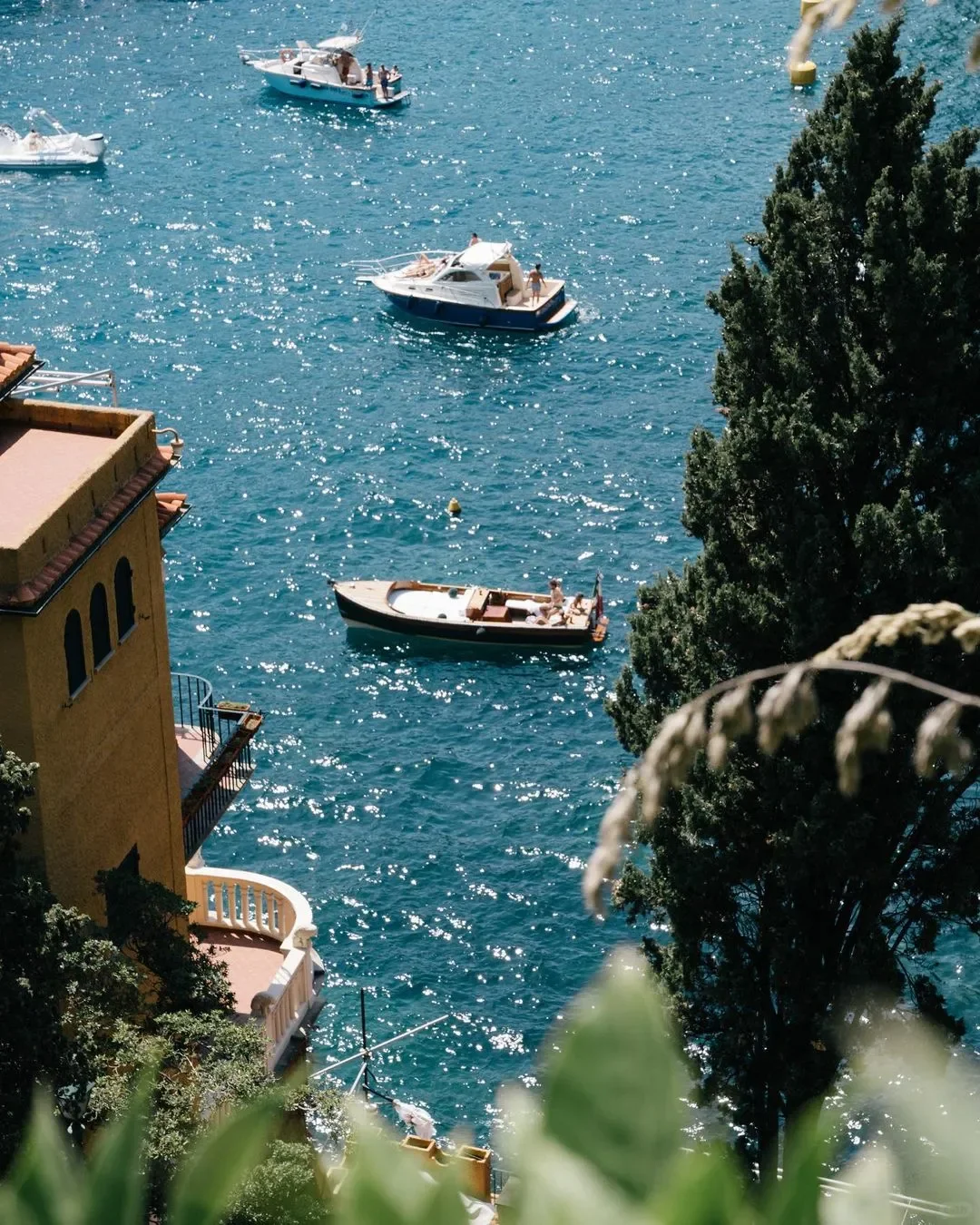 Maurice Pehle的镜头人生 📸🇩🇪✨