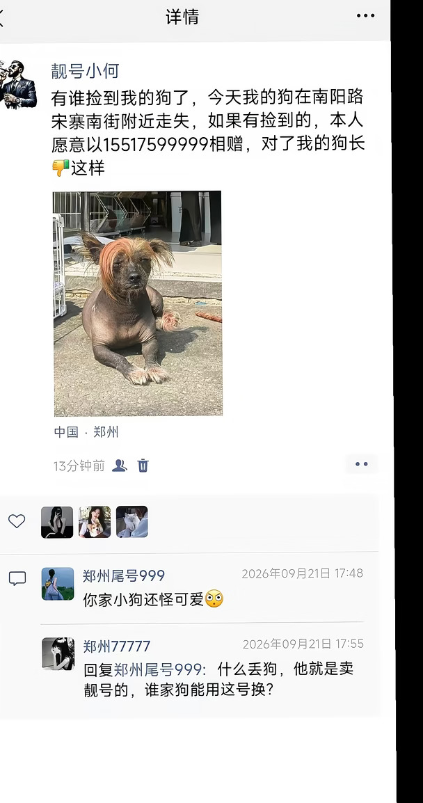 我的小狗丢了，谁能帮我找到