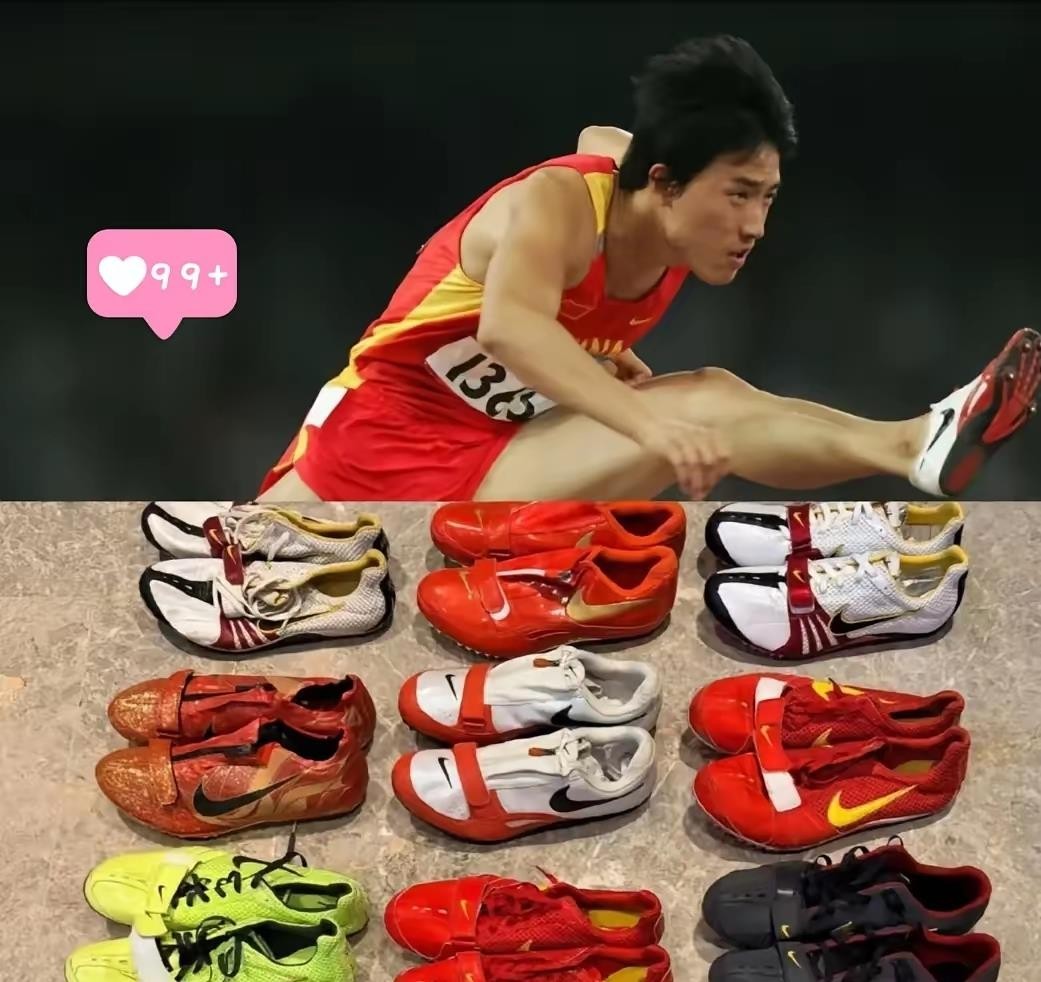 刘翔完成买断，拿到49.4万元自主择业补偿金，与体育局再无关联。隔天，他把退役11年来的全部工资补助982935元，一分不留，全数捐给中华慈善总会用于西藏泥石流救灾。
银行流水晒得清清楚楚：2015年4月至今，收入982935元，支出为零。他写道：“我退役至今，没有接到过任何编制及岗位。为何11年后