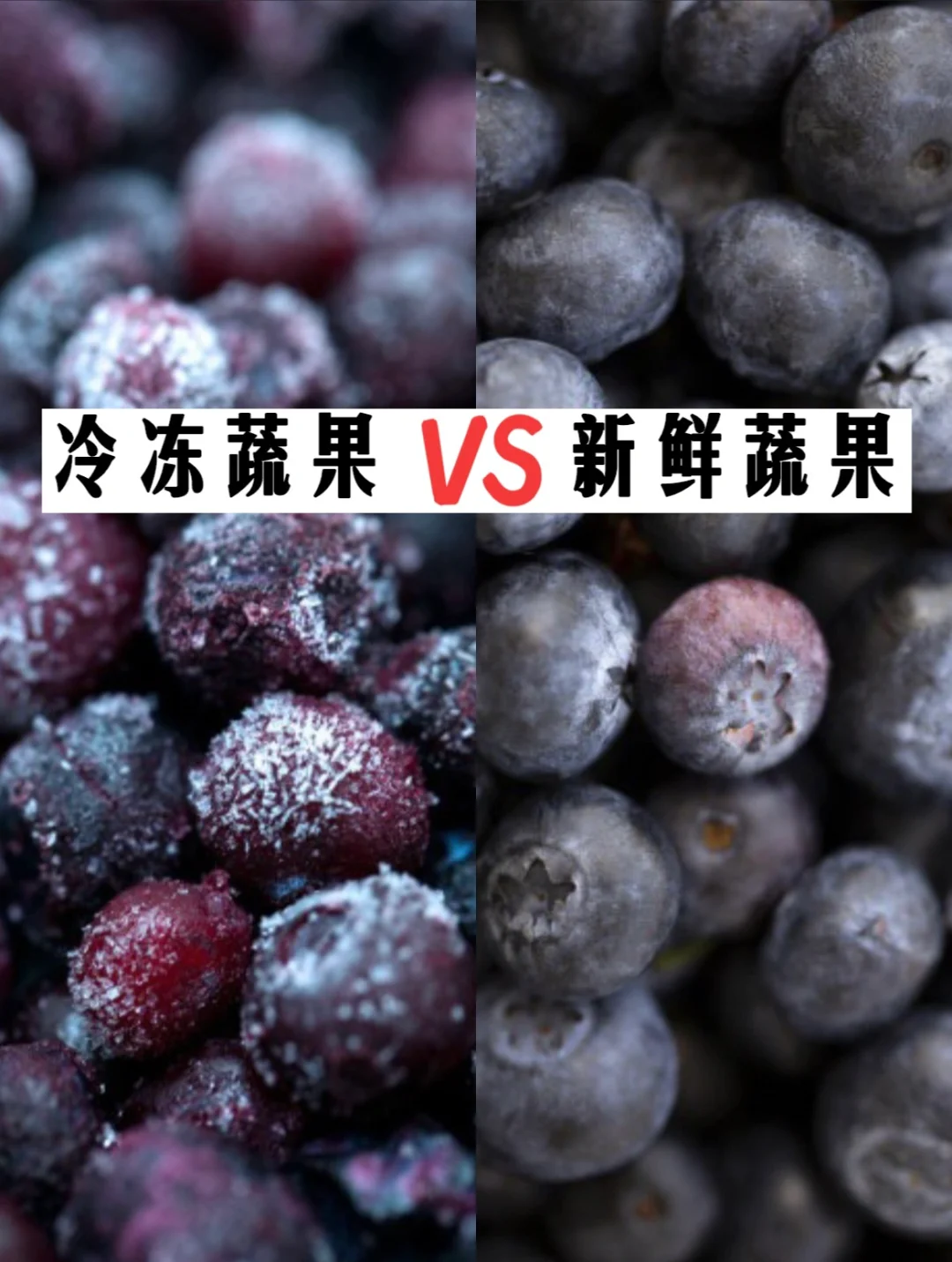 冷冻 VS 新鲜 — 野生蓝莓
