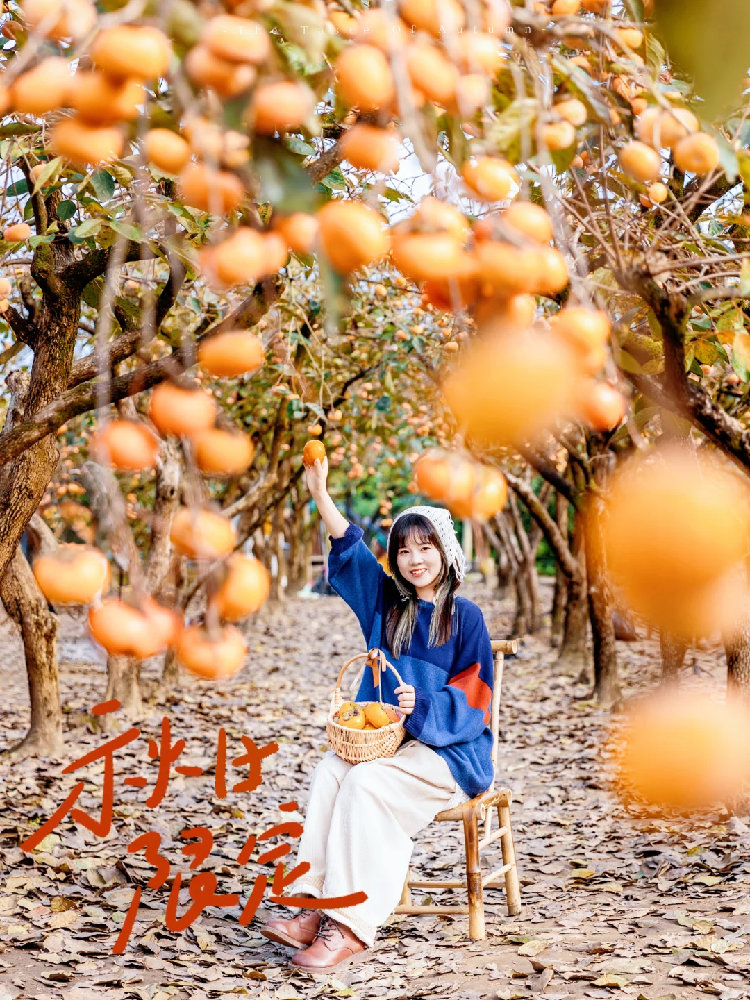 抓紧❗成都周边｜这片柿林美到窒息❗