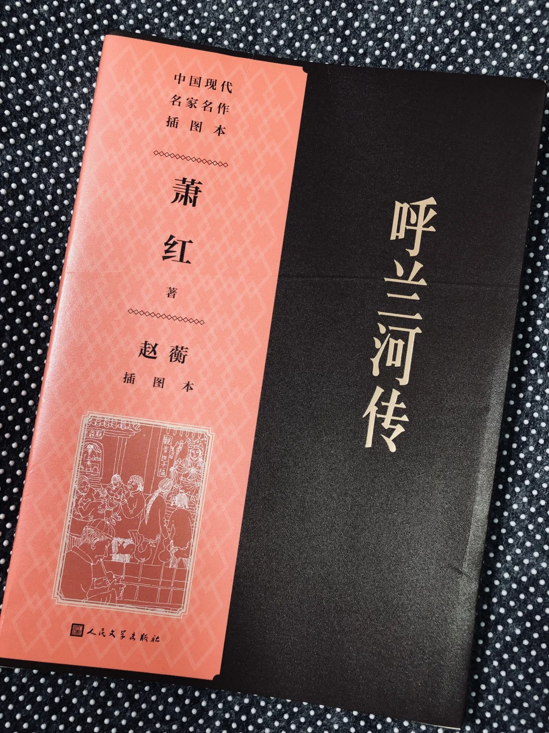 呼兰河传｜插图真棒！