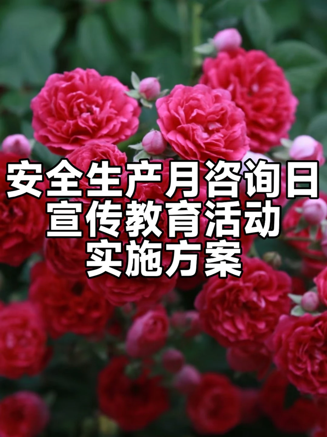 “安全生产月”咨询日宣传教育活动实施方案