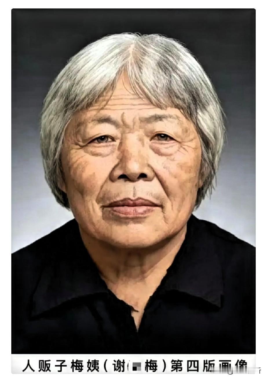刚去查了一下梅姨。
不查不知道。
一查吓一跳，本以为这号人物藏了这么多年，怎么也得混出点名堂，结果呢？窝在十平米不到的出租屋里，靠捡破烂维持生计。

住的地方简直就是个垃圾场，为了掩人耳目，名字换了又换，连同居的老伴都被蒙在鼓里。

有人调侃说，干了一辈子坏事，混成这样，连个像样的家都没有，真是报应