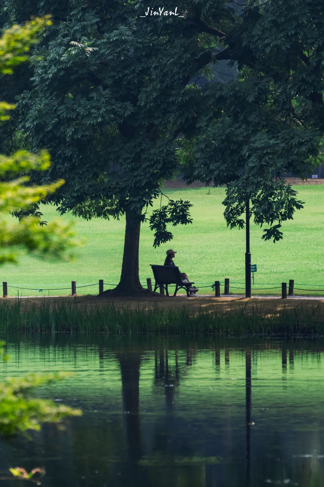 夏天的太子湾藏着宫崎骏动漫世界的入口吧‼️