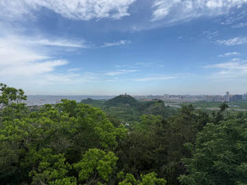 五山真是太好了。<br />（南墙就在军山金顶入门处，好拍人少速来