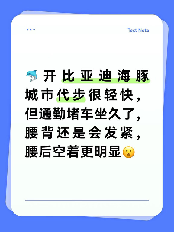 比亚迪海豚通勤腰酸靠枕软中带撑🐬