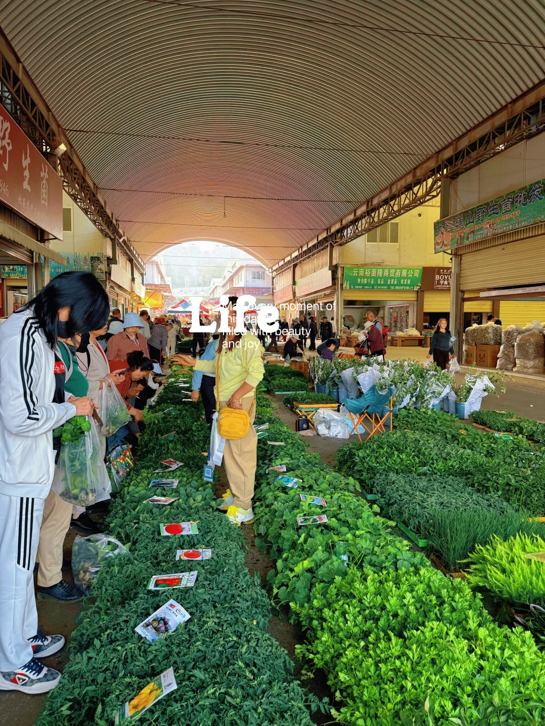 别只知道篆新🥦🍒🌽农产品交易市场了解下