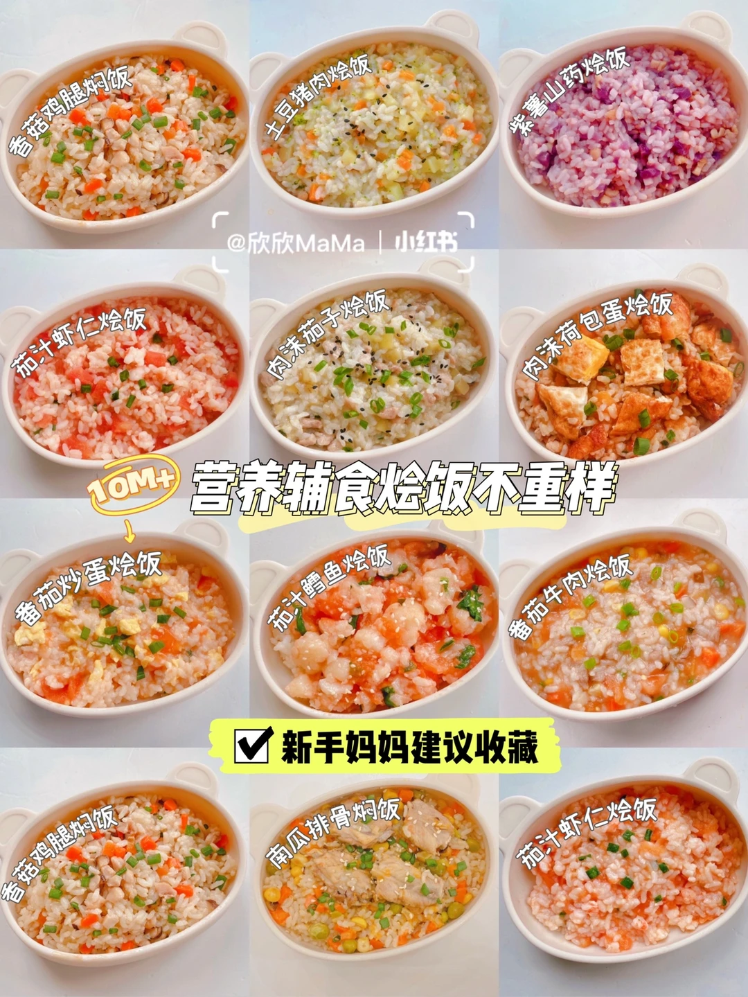 10月龄起｜12款宝宝辅食营养烩饭｜搭配一周