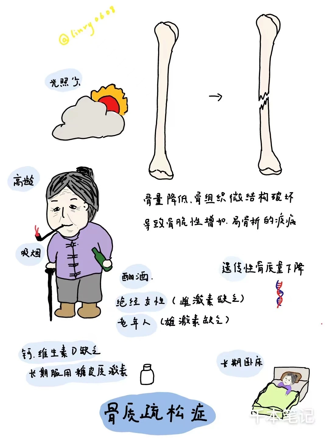 医学生绘本🎨第102弹【骨质疏松】