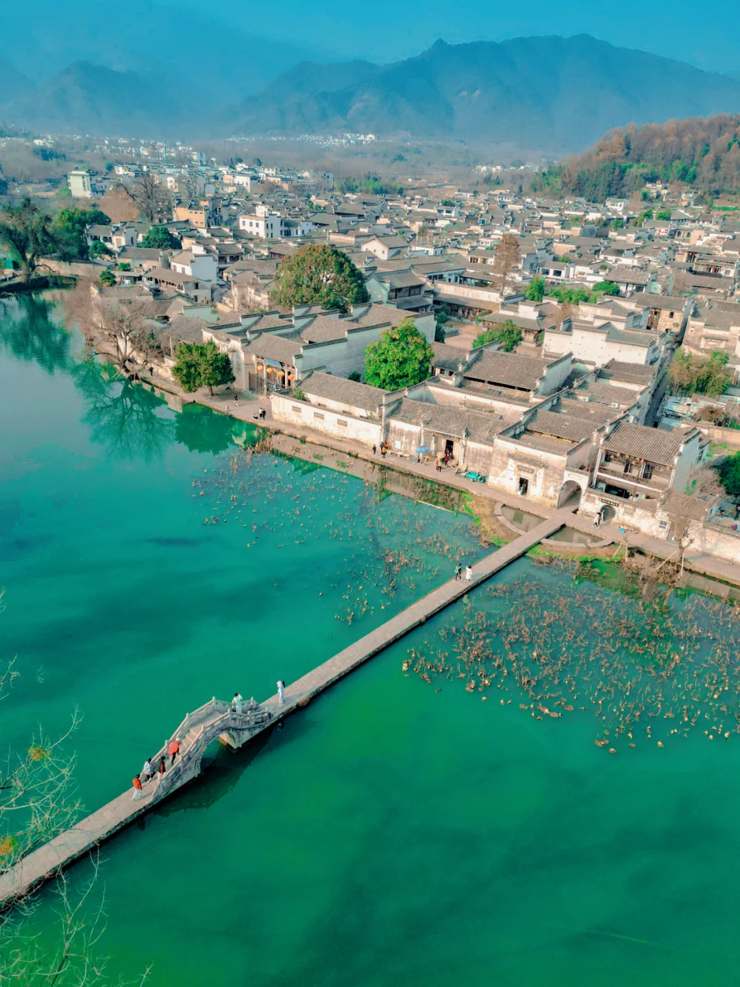 不是呈坎去不起，限时免费的宏村更有性价比