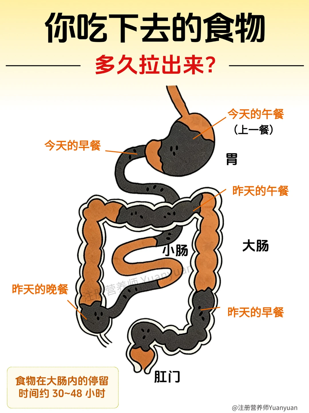 今天，你拉了吗？请大数据推给所有要吃饭的人