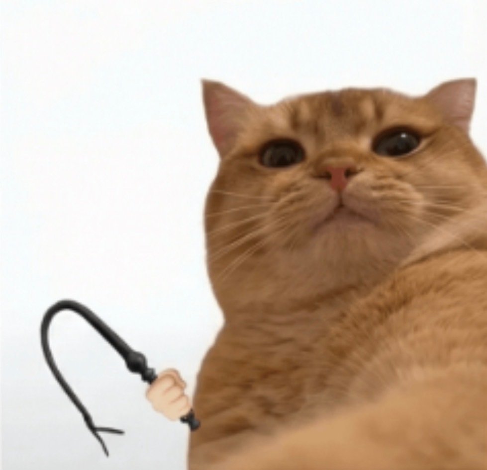 ​