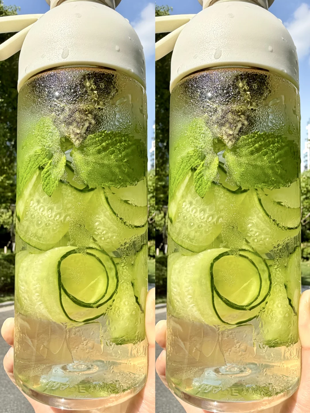 夏天续命水！！！发现了堪比空调的冷泡茶。。。。