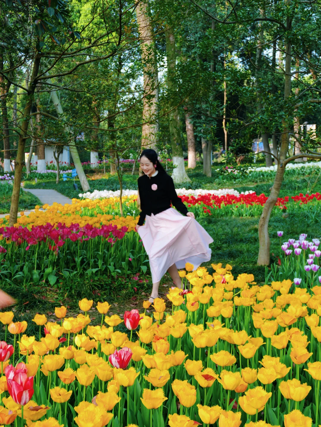 可惜你春天不在武汉！武汉郁金香开了！附攻略