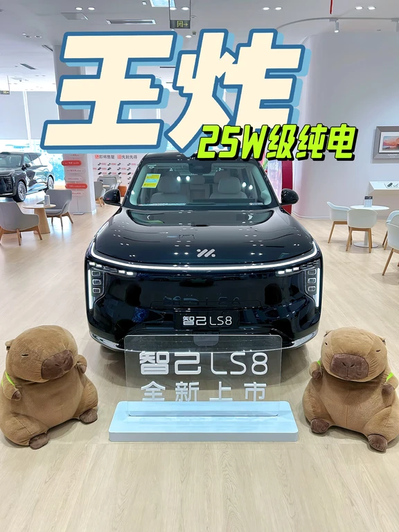 🔥25 W级纯电 SUV 王炸来了！