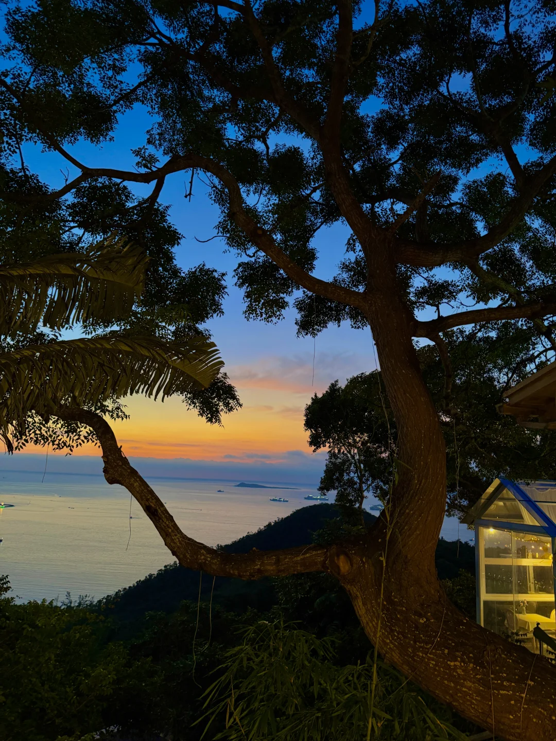 果然！三亚最美的地方都是免费的……