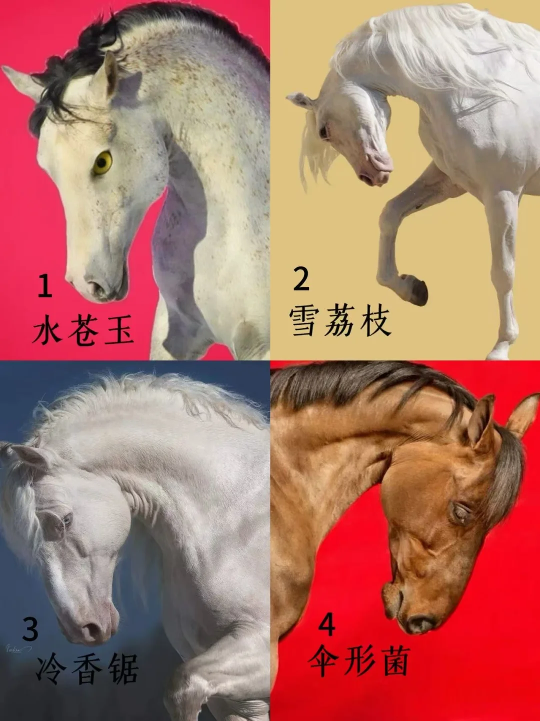 他眼中的你？他对你的真实感情是什么？