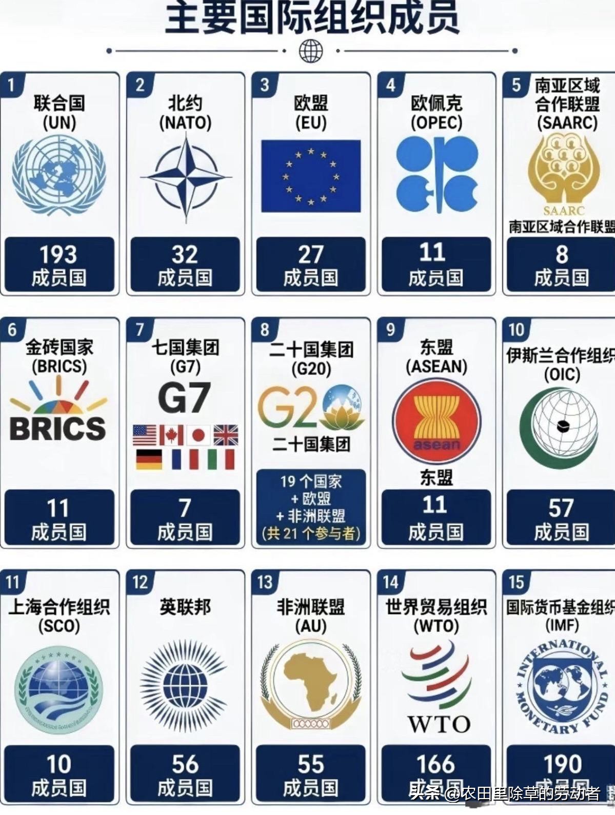一张图看懂各大国际组织，联合国193个成员国，是全球规模最大的组织。北约、欧盟、金砖、G7、G20、上合组织、东盟……每个组织定位各不相同。有的侧重安全防务，有的主打经济合作，还有区域联盟凝聚一方力量。经常看新闻听到这些名字，看完这张图，再也不会混淆。你听过最多的是哪个国际组织？评论区聊聊！