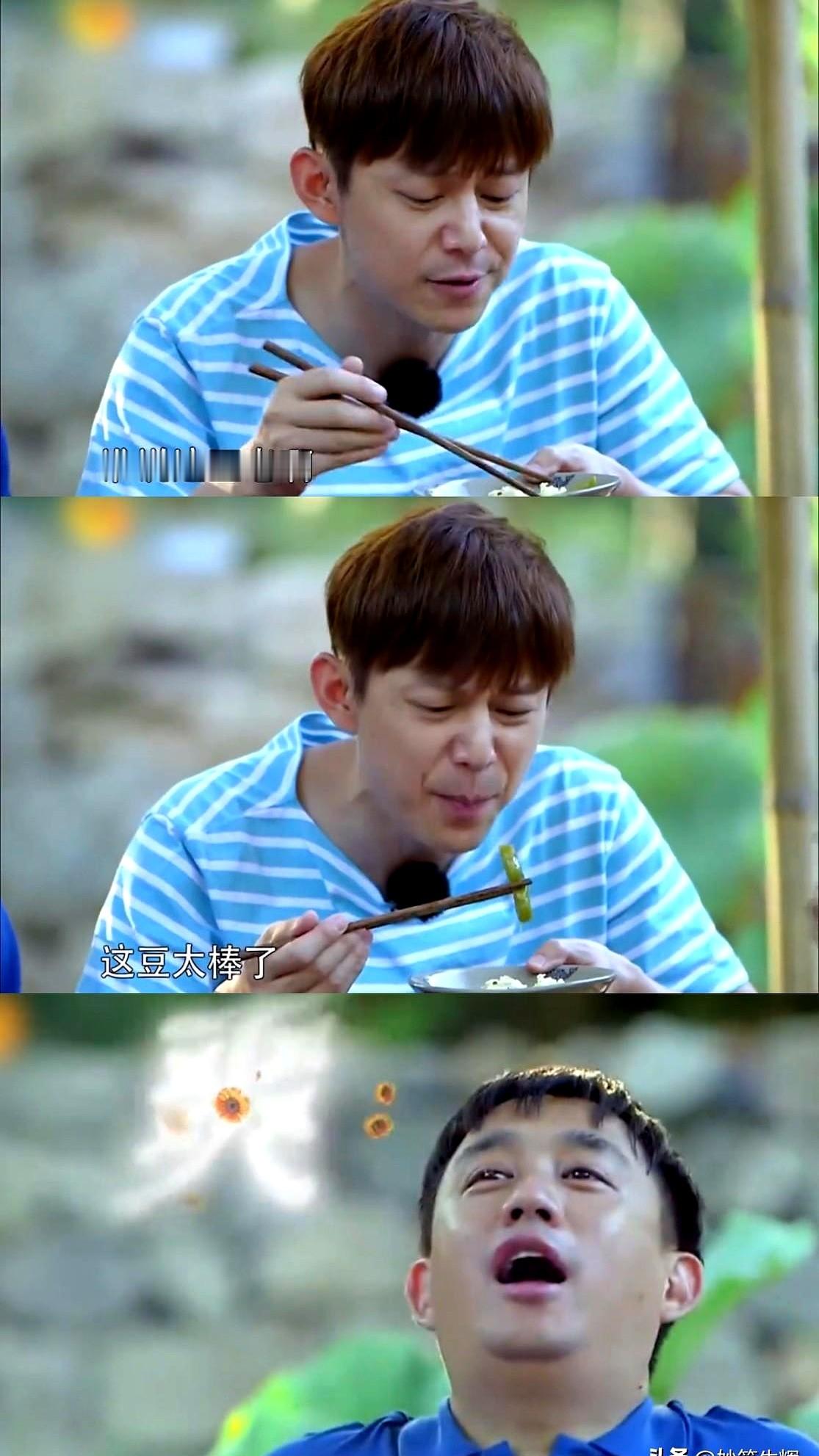 黄磊一句话，《向往的生活》彻底没了。

他说该停就停，别等到大家烦了再走。七季下来，他做了快六百道菜，灶台边一站就是七年。他得戴着呼吸机睡觉，身体扛不住了。

何炅还记得那盘豆角。他反复澄清，真是意外，但味道确实好。节目里的烟火气，有一半是黄小厨锅里飘出来的。

现在黄磊说，戏剧节才是他这辈子最重要