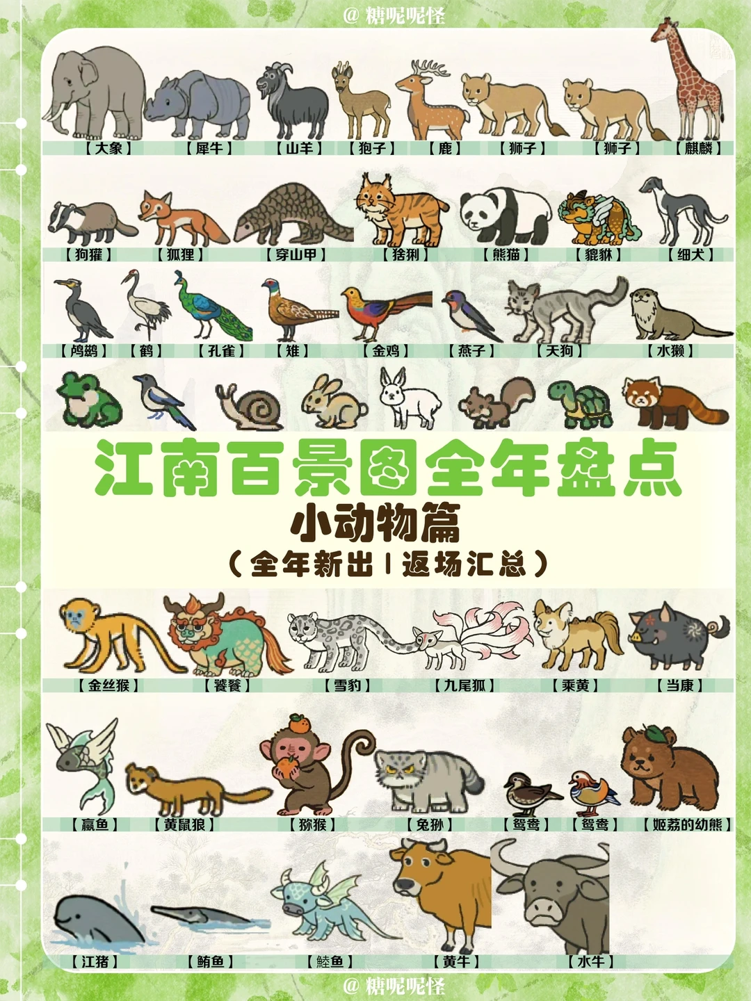 小破图24年小动物盘点来啦🥰🥰