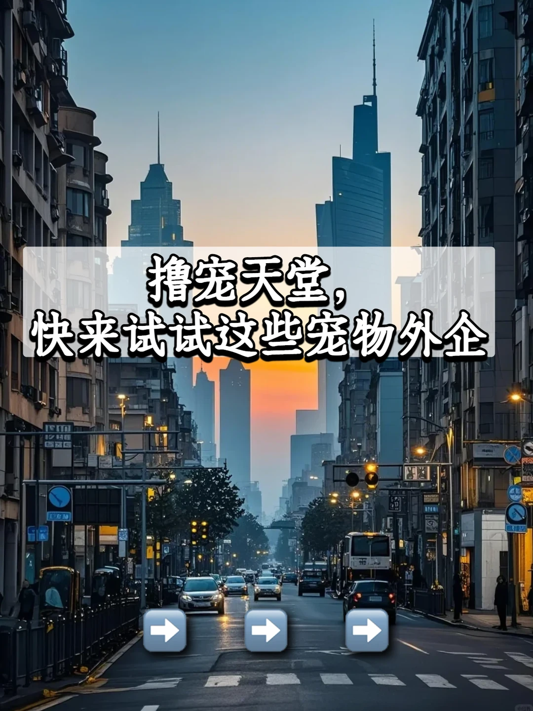 撸宠天堂，快来试试这些宠物外企