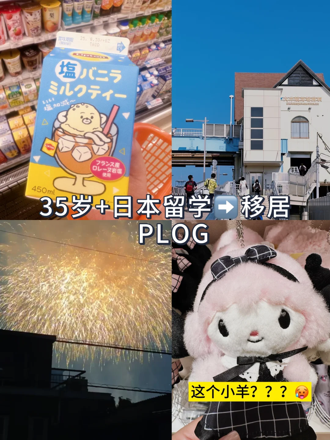 35岁+日本留学➡️移居✈️日本的次序感生活