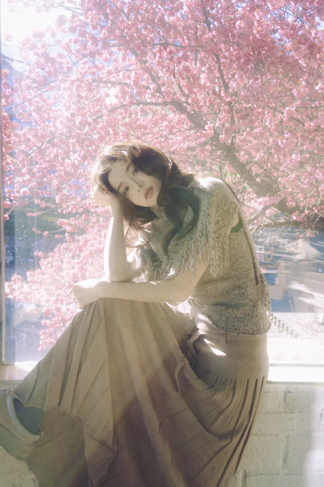 *冬樱⋆˚🌸✿˖°