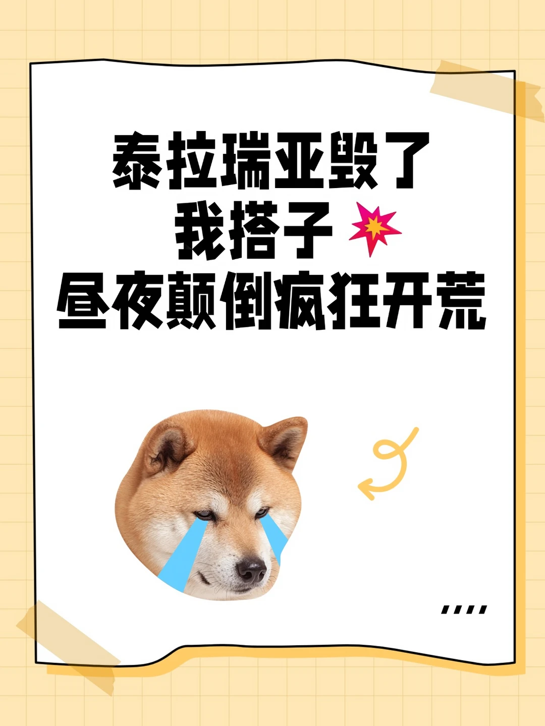 泰拉瑞亚毁了我搭子💥昼夜颠倒疯狂开荒