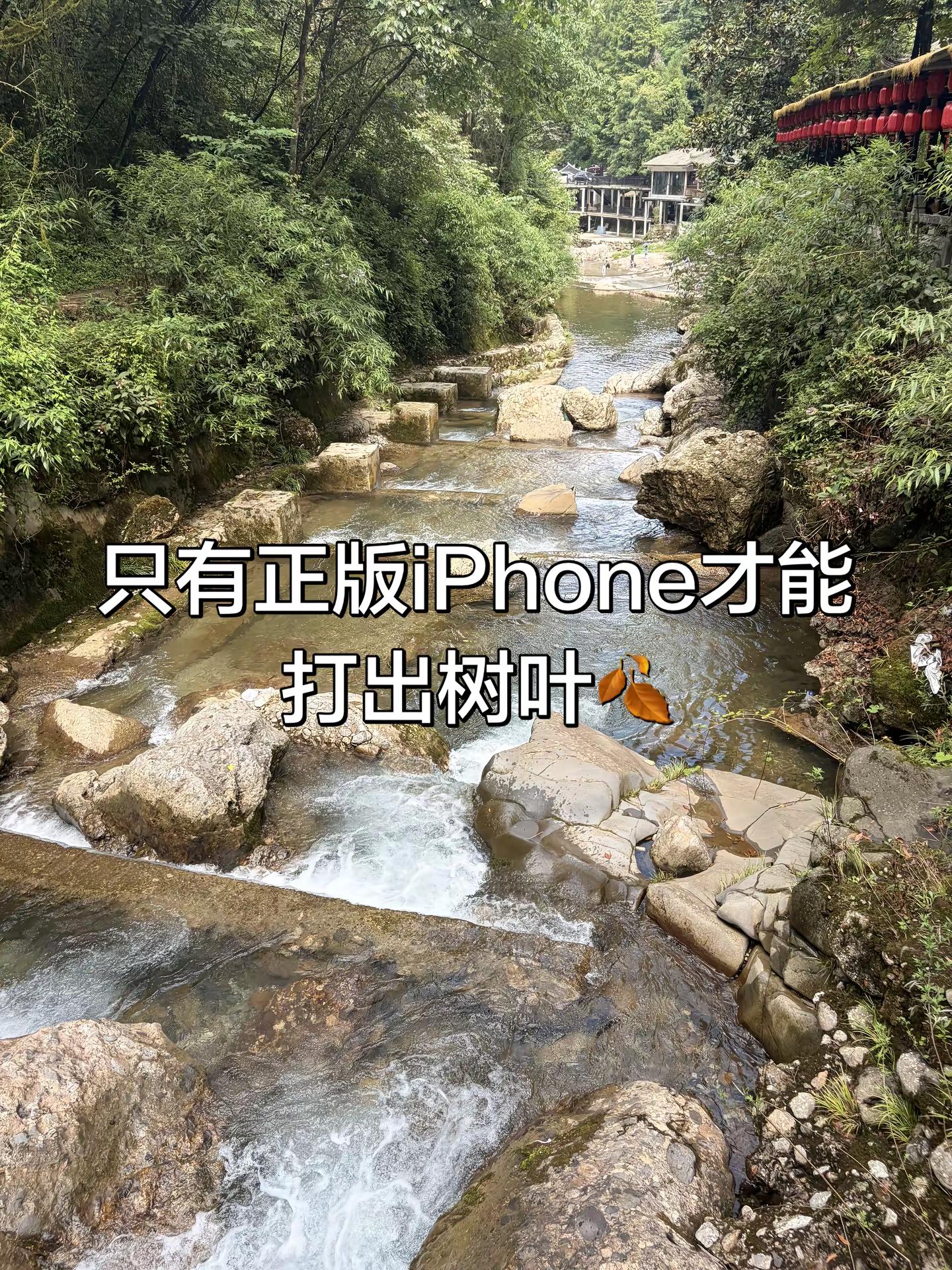 iPhone冷知识。成都同城 iPhone果粉自然