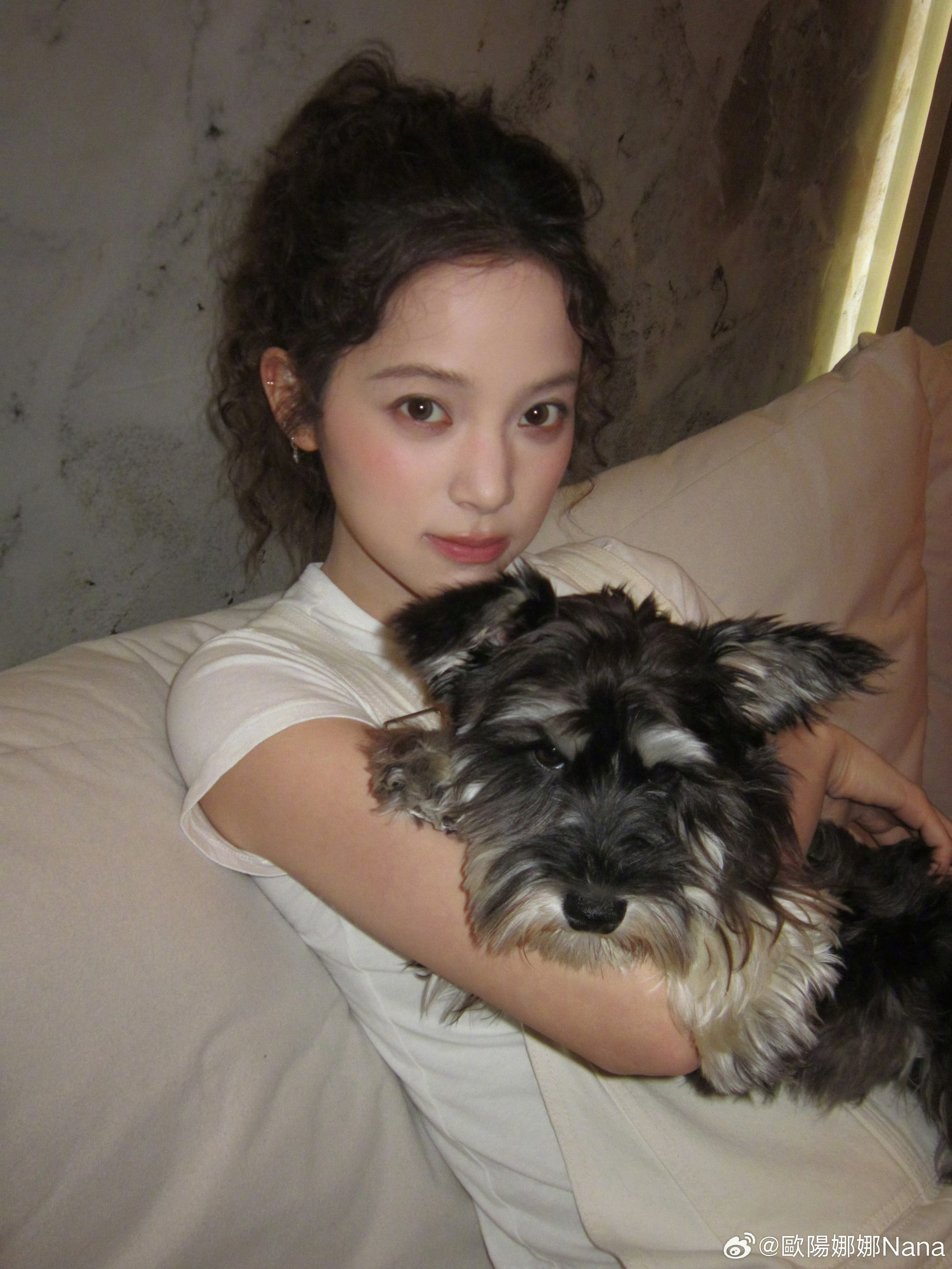 🐶 ​​​