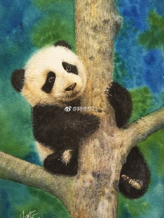 水彩大熊猫。在树上歇脚的滚滚。