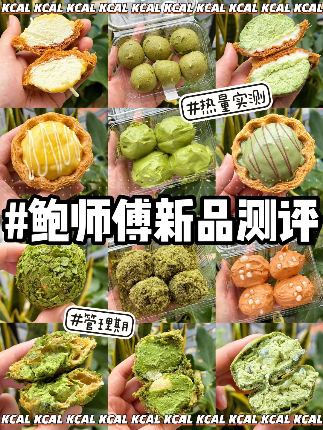 鲍师傅热量测评‼️又又又上新了🔥99款全拆解