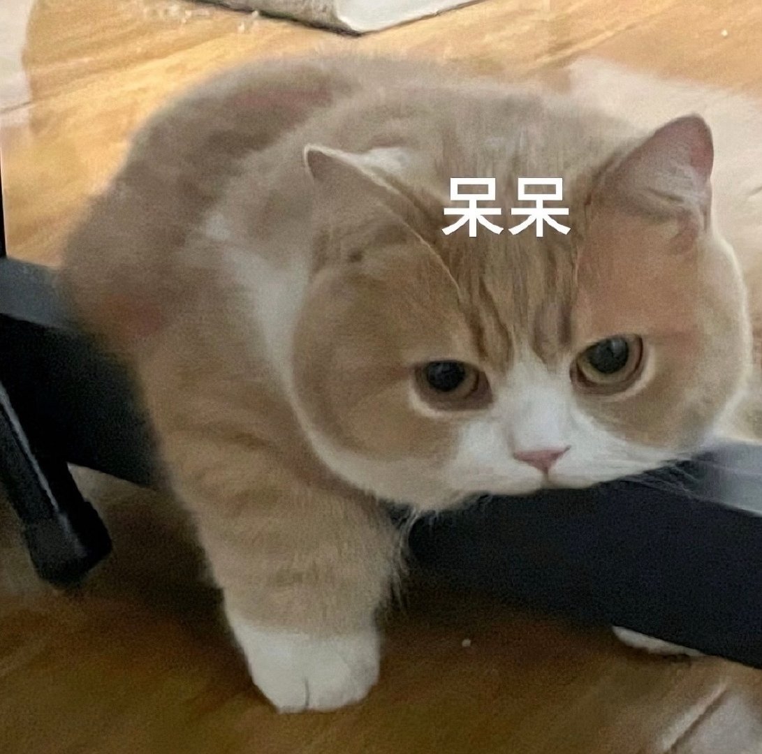 养个铁粉[吃馕] ​​​