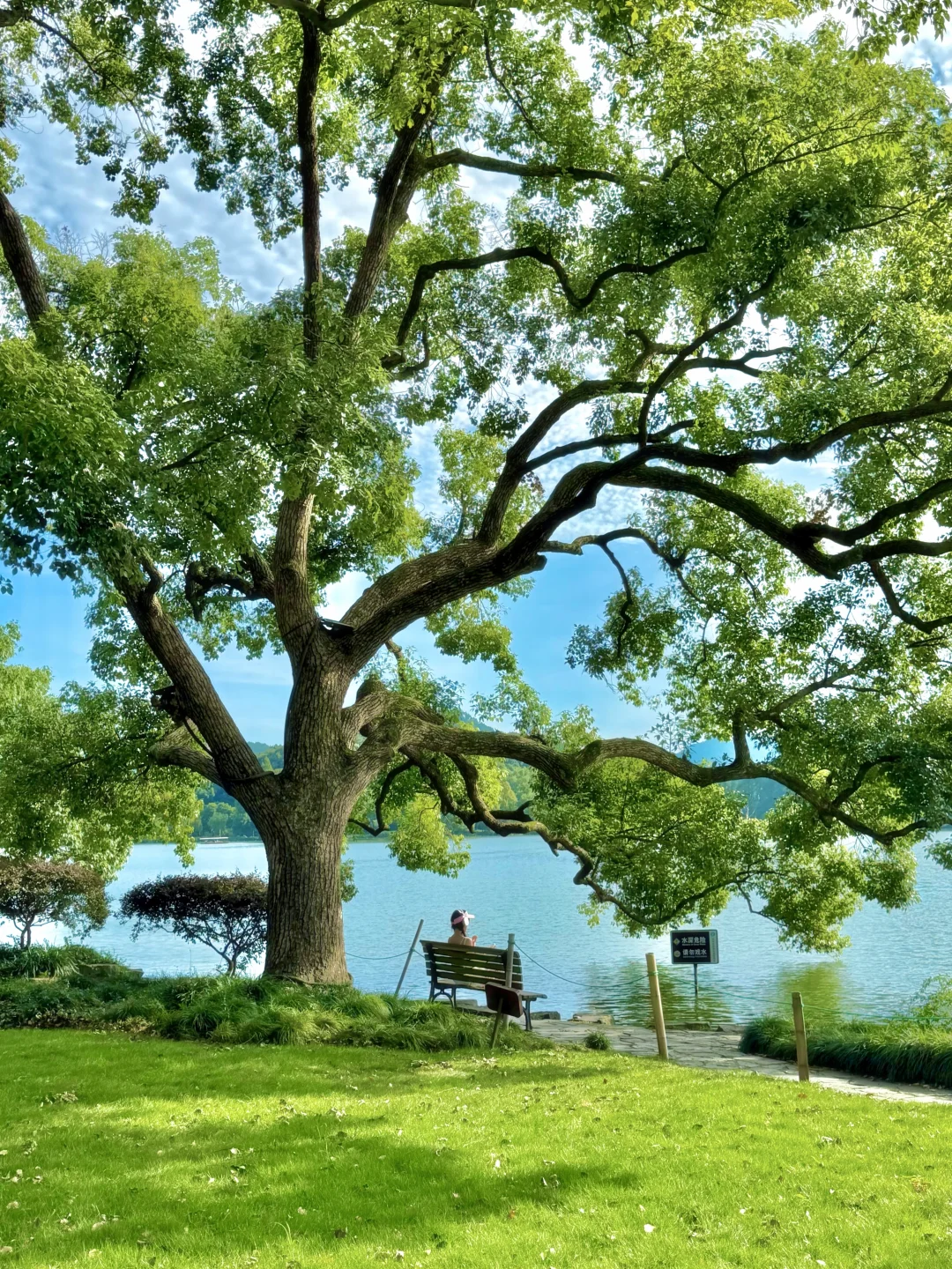 西湖是一个巨大的公园🌳合集附定位