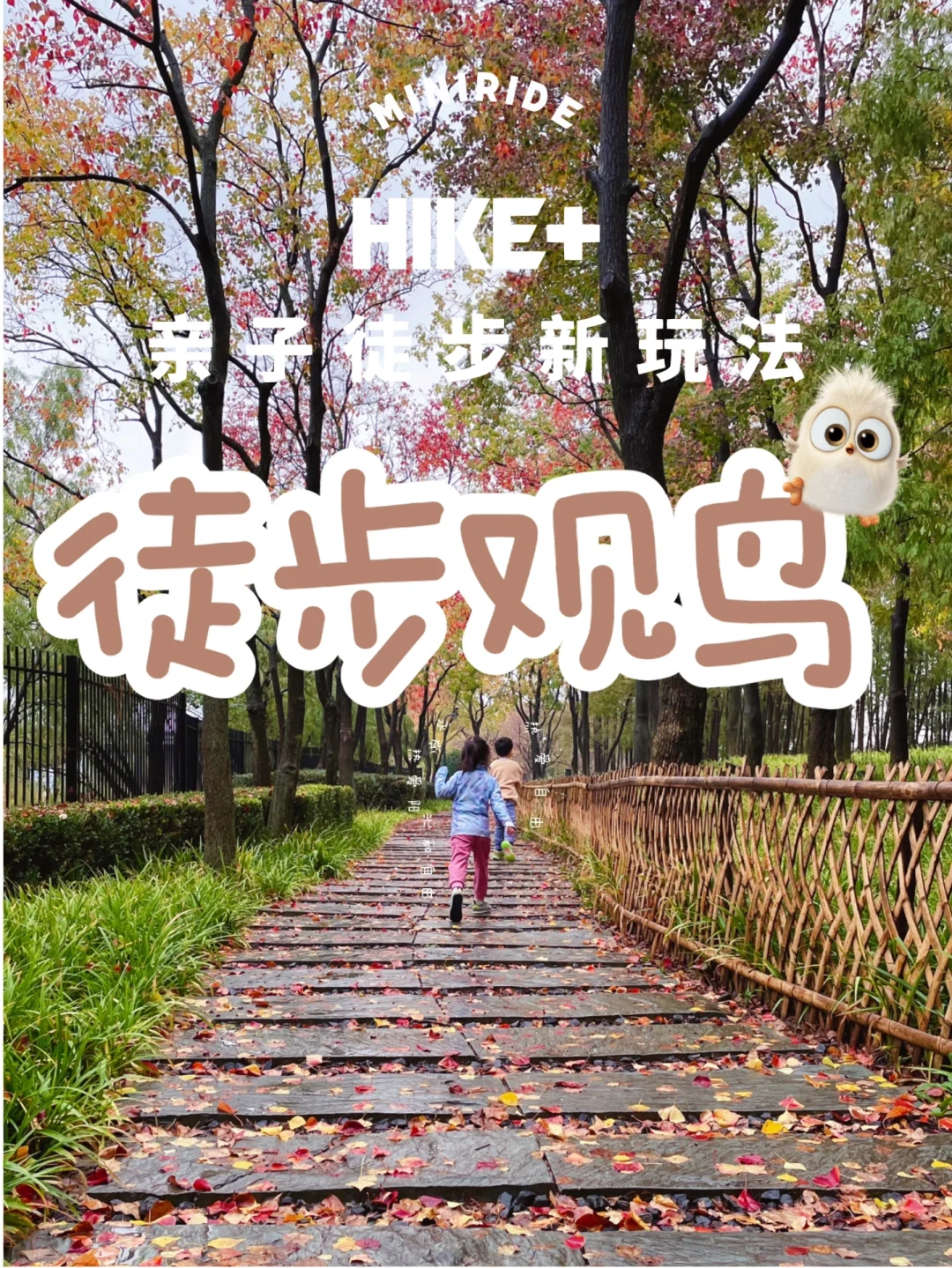 亲子观鸟| 市区最野趣公园，免费秋日自然课