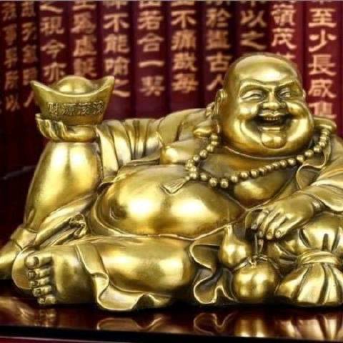海金探球