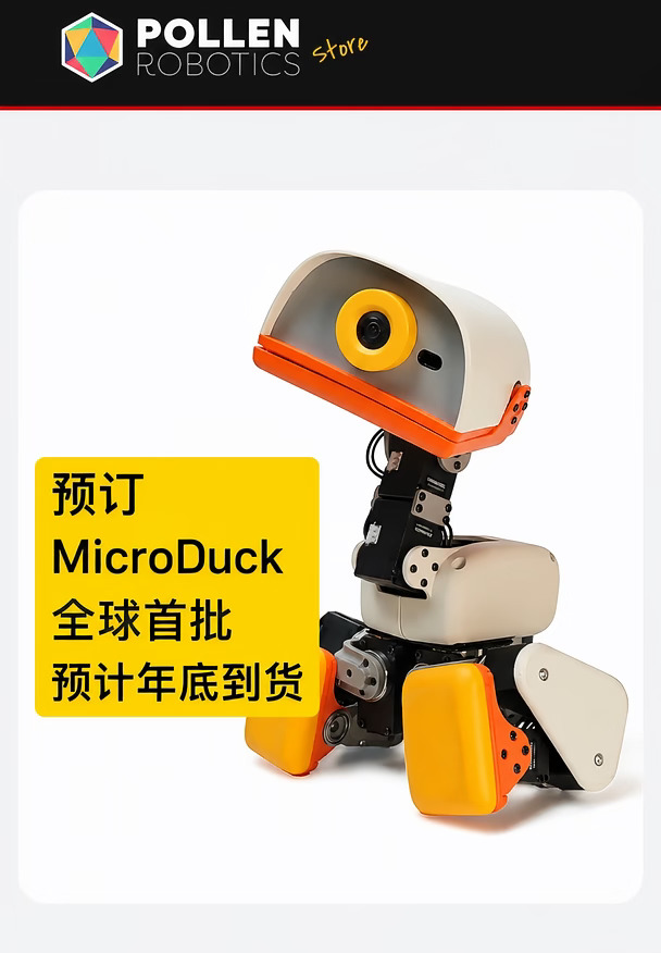 都来找我买鸭子