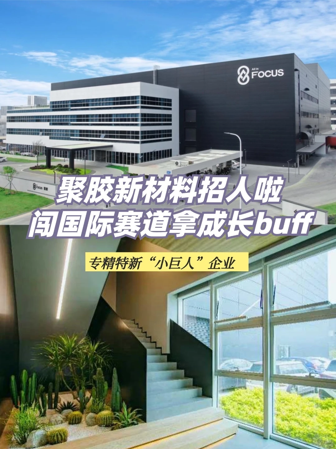 闯国际赛道拿成长buff，聚胶新材料招人啦！