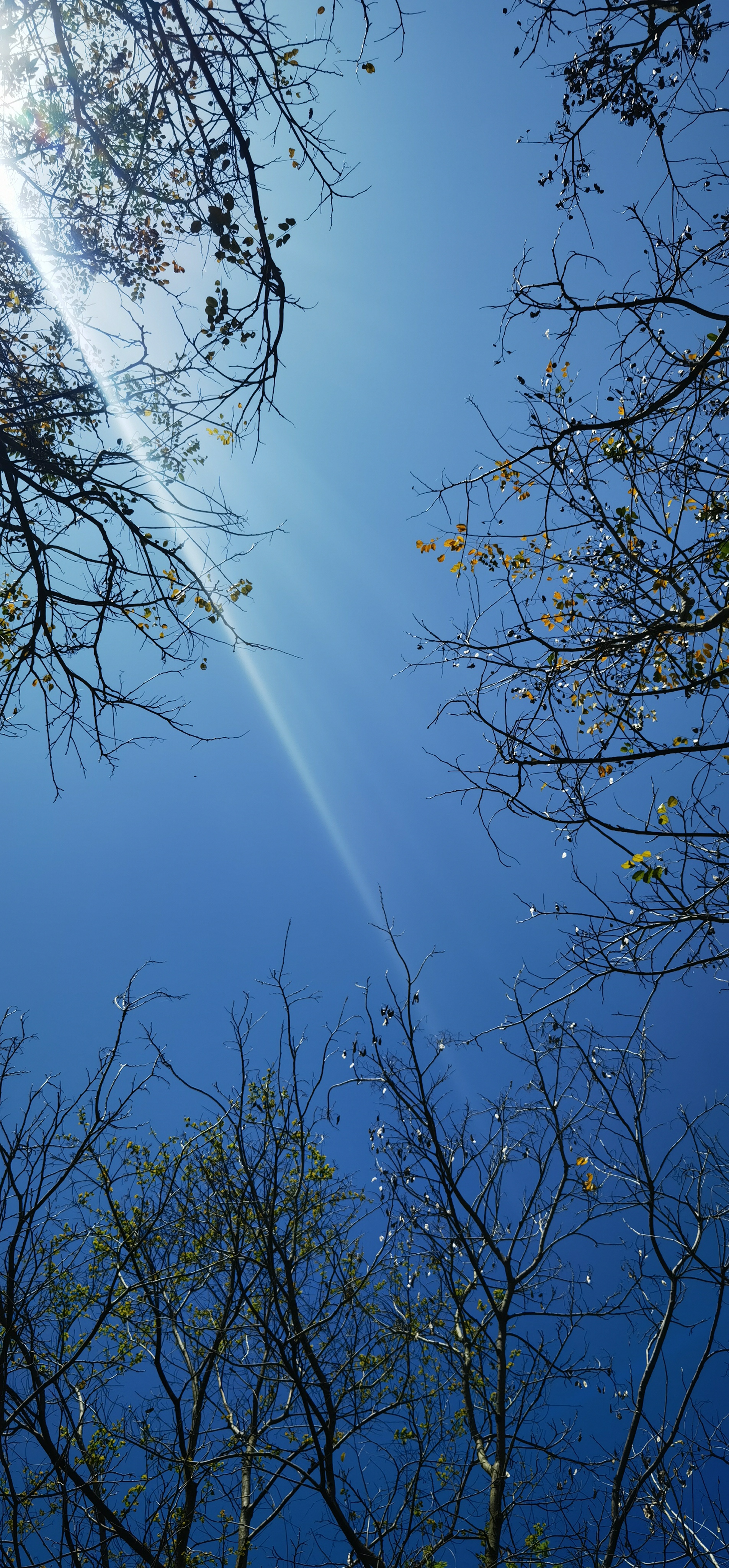 居然这些媒体球迷还在说格林封死伦纳德          认真看完比赛的...